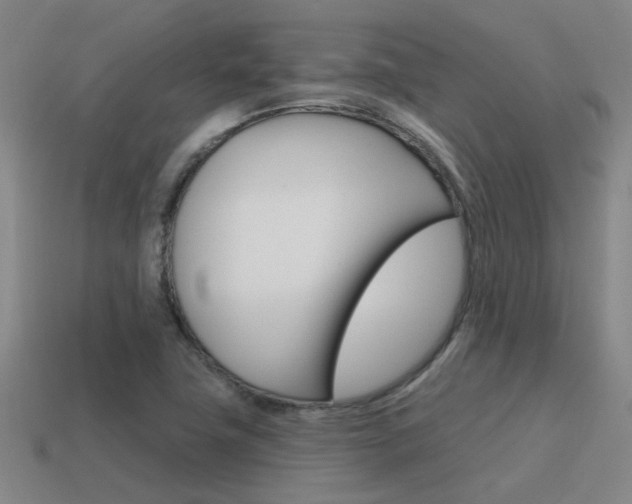 X0000115651411200911101107