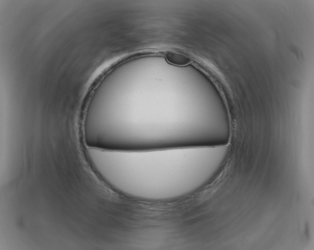 X0000115651412200911101107