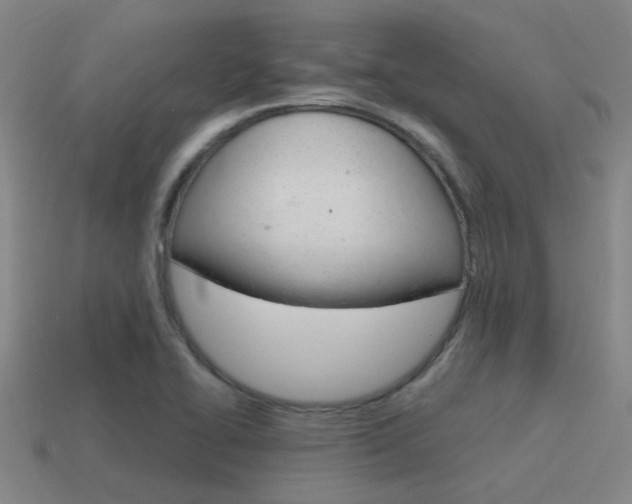 X0000115651414200911101107