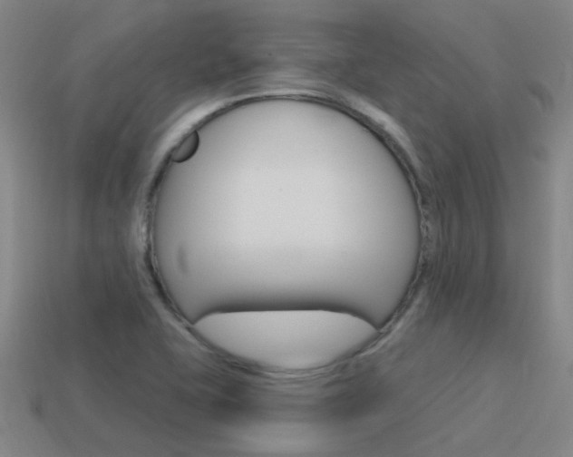 X0000115651415200911101107