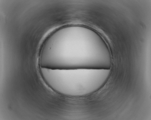 X0000115651416200911101107
