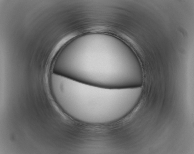 X0000115651418200911101107