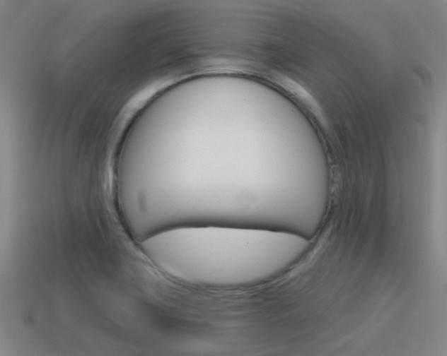 X0000115651419200911101107
