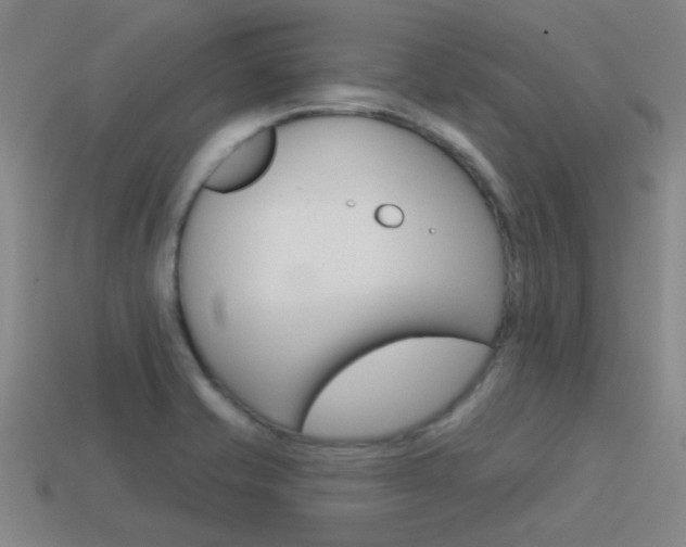 X0000115651421200911101107