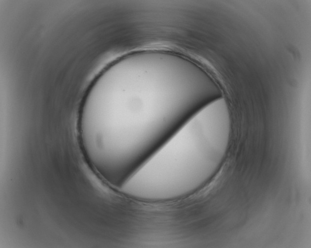X0000115651422200911101107
