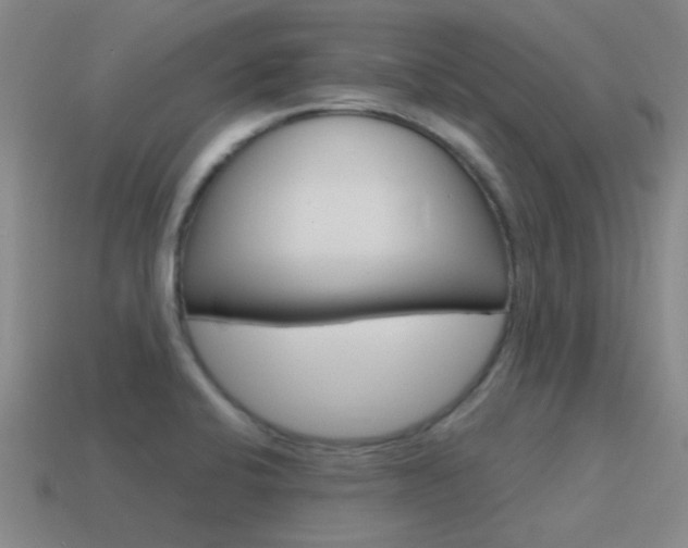 X0000115651424200911101107