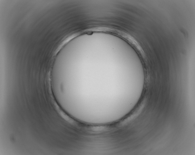 X0000115651425200911101107