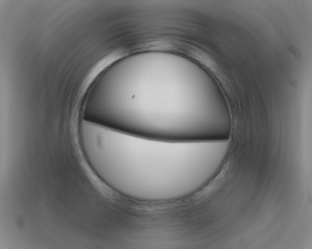 X0000115651426200911101107