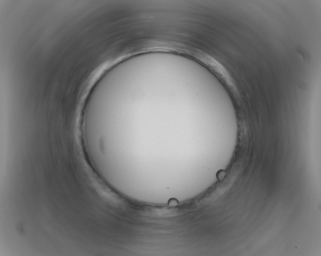X0000115651427200911101107