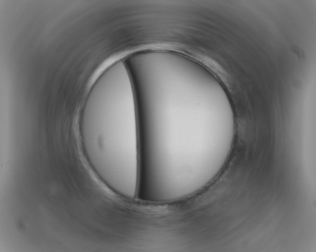 X0000115651428200911101107