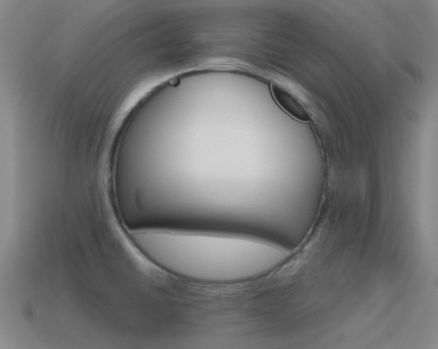 X0000115651430200911101107