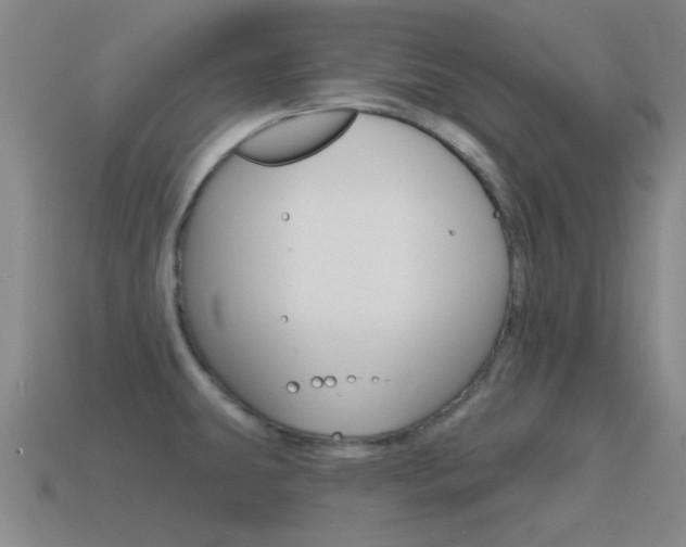 X0000115651431200911101107