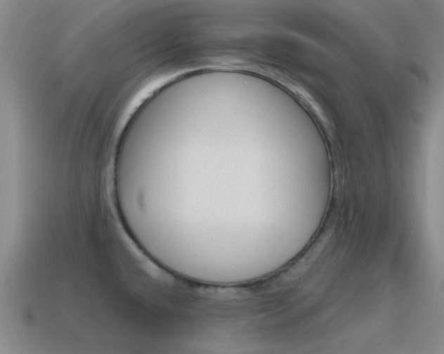 X0000115651432200911101107