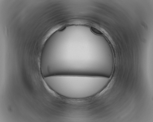X0000115651433200911101107