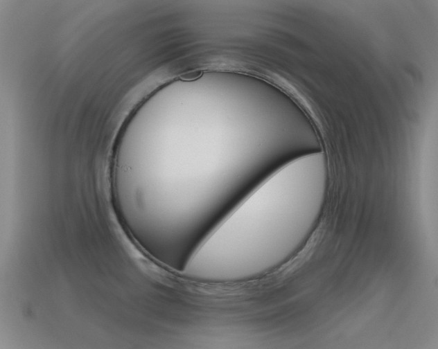 X0000115651434200911101107