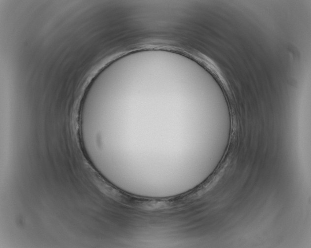 X0000115651435200911101107