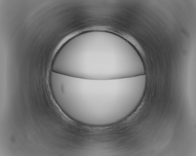 X0000115651436200911101107