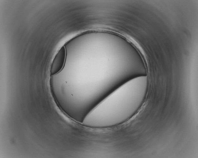 X0000115651437200911101107