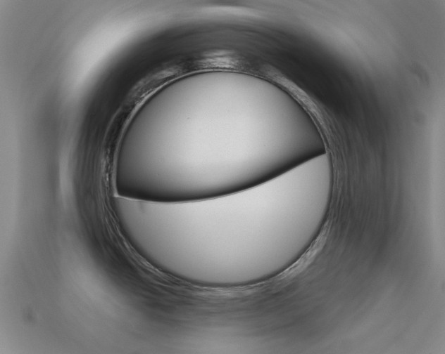 X0000115651438200911101107