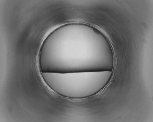 X0000115651440200911101107