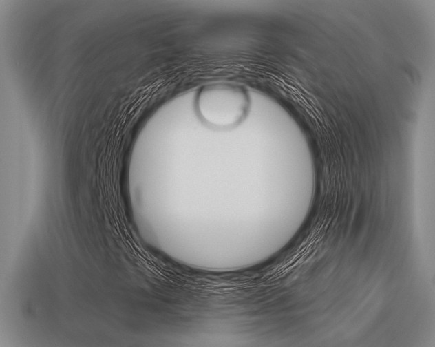X0000115651441200911101107