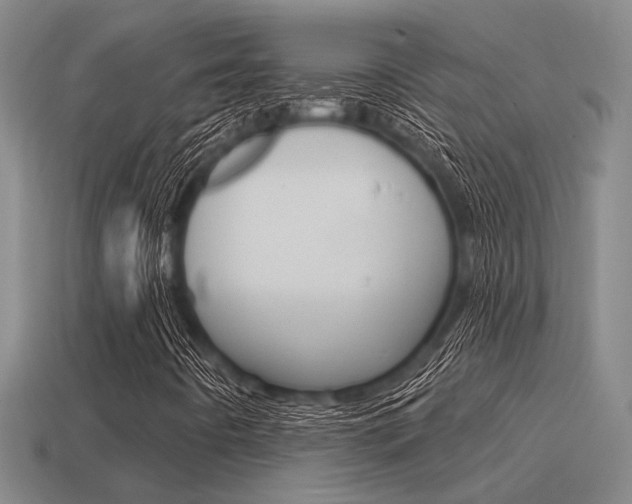 X0000115651442200911101107