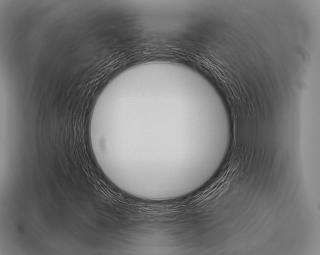 X0000115651443200911101107