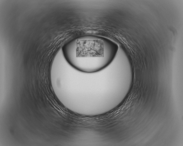 X0000115651444200911101107
