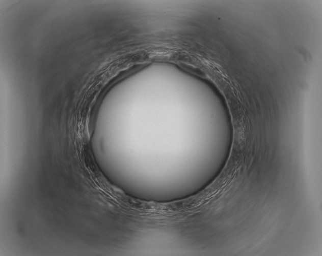 X0000115651445200911101107