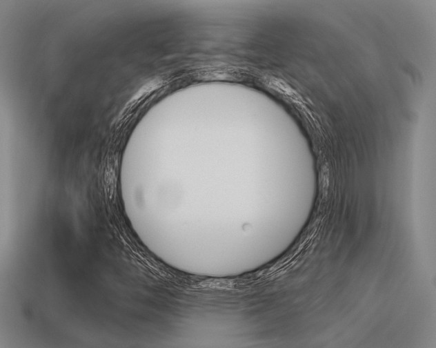 X0000115651446200911101107