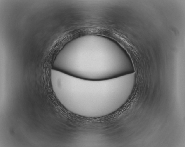 X0000115651447200911101107