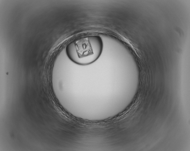 X0000115651448200911101107