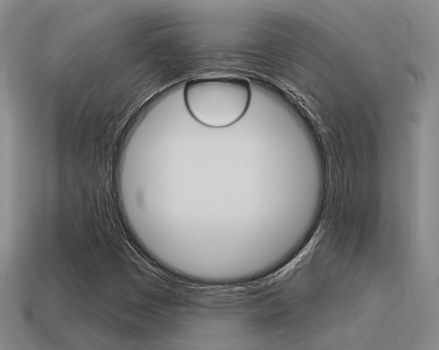 X0000115651449200911101107