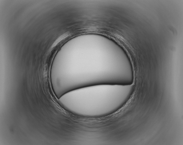 X0000115651450200911101107