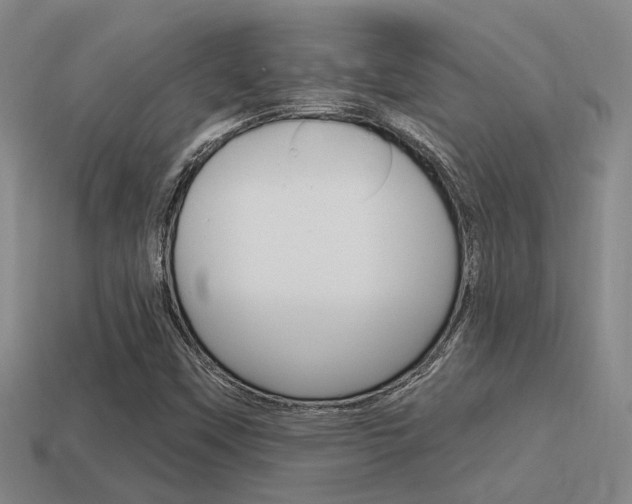 X0000115651451200911101107