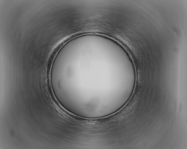 X0000115651452200911101107