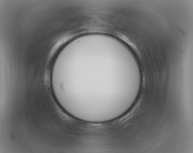 X0000115651454200911101107