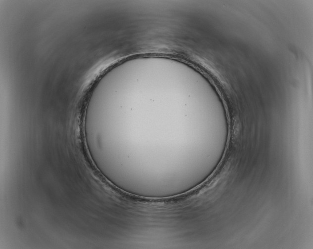 X0000115651455200911101107