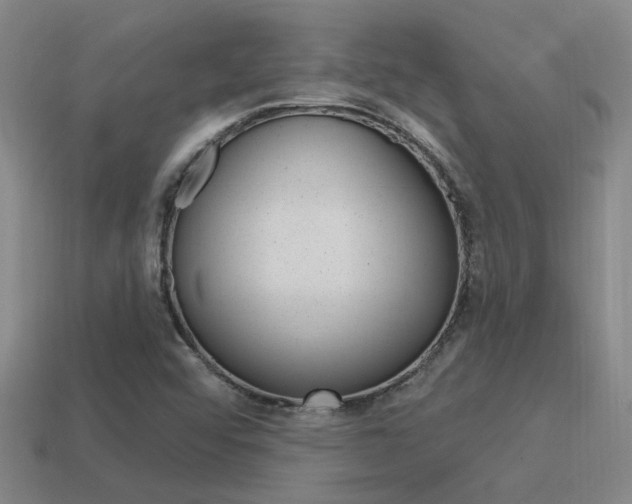 X0000115651456200911101107