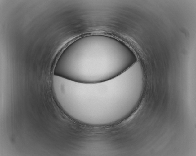 X0000115651457200911101107