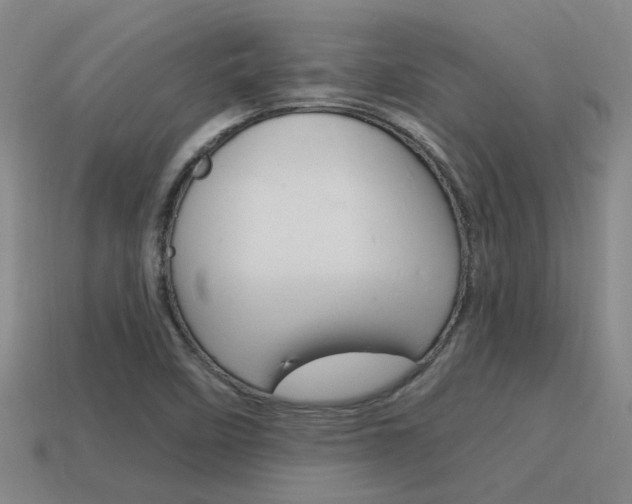 X0000115651458200911101106