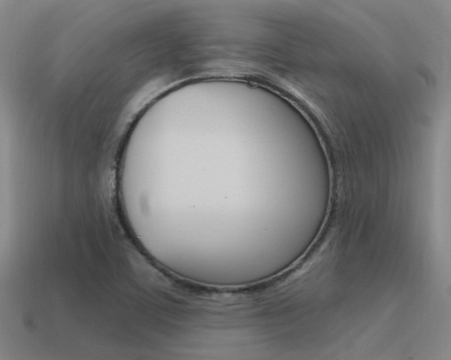 X0000115651459200911101106