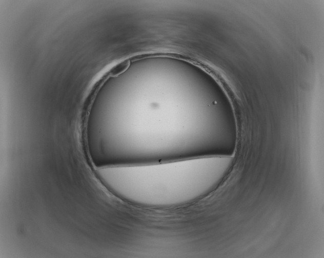 X0000115651460200911101106