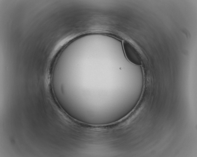 X0000115651461200911101106