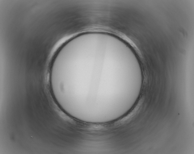 X0000115651462200911101106