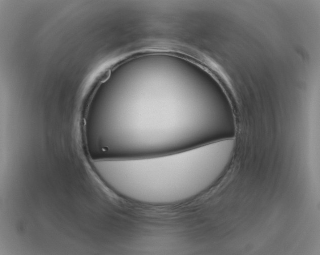 X0000115651464200911101106