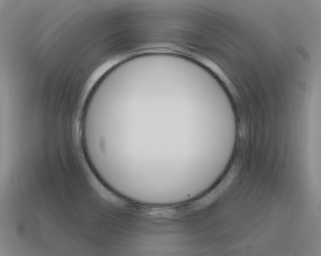 X0000115651466200911101106