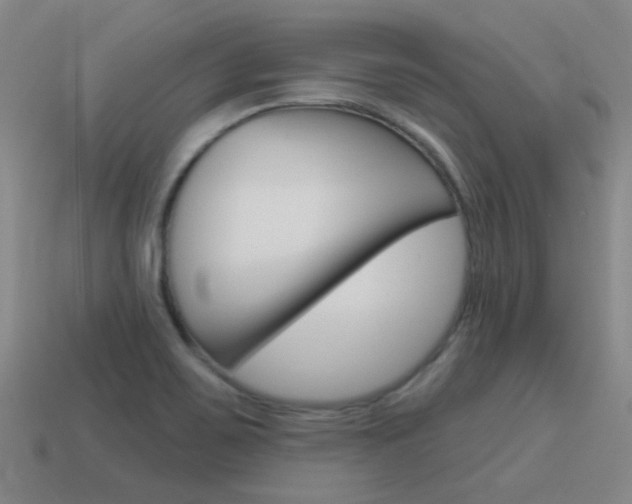 X0000115651467200911101106