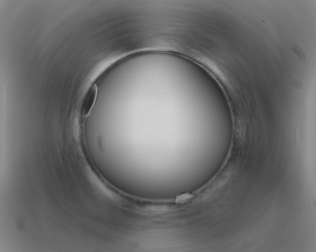 X0000115651468200911101106