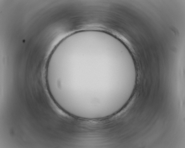 X0000115651470200911101106